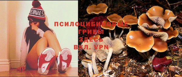 мдпв Алзамай