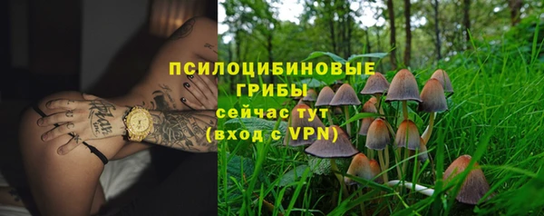 spice Алексеевка