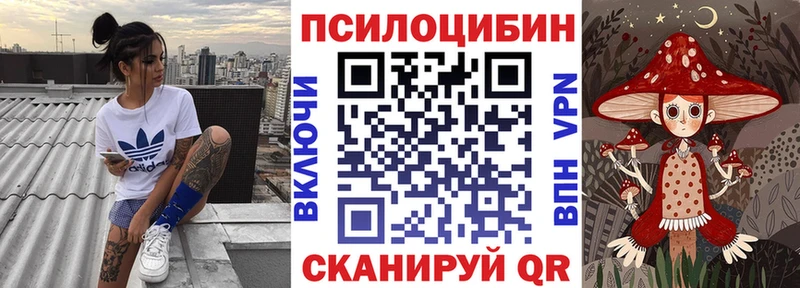 Псилоцибиновые грибы Psilocybine cubensis  Светлоград 